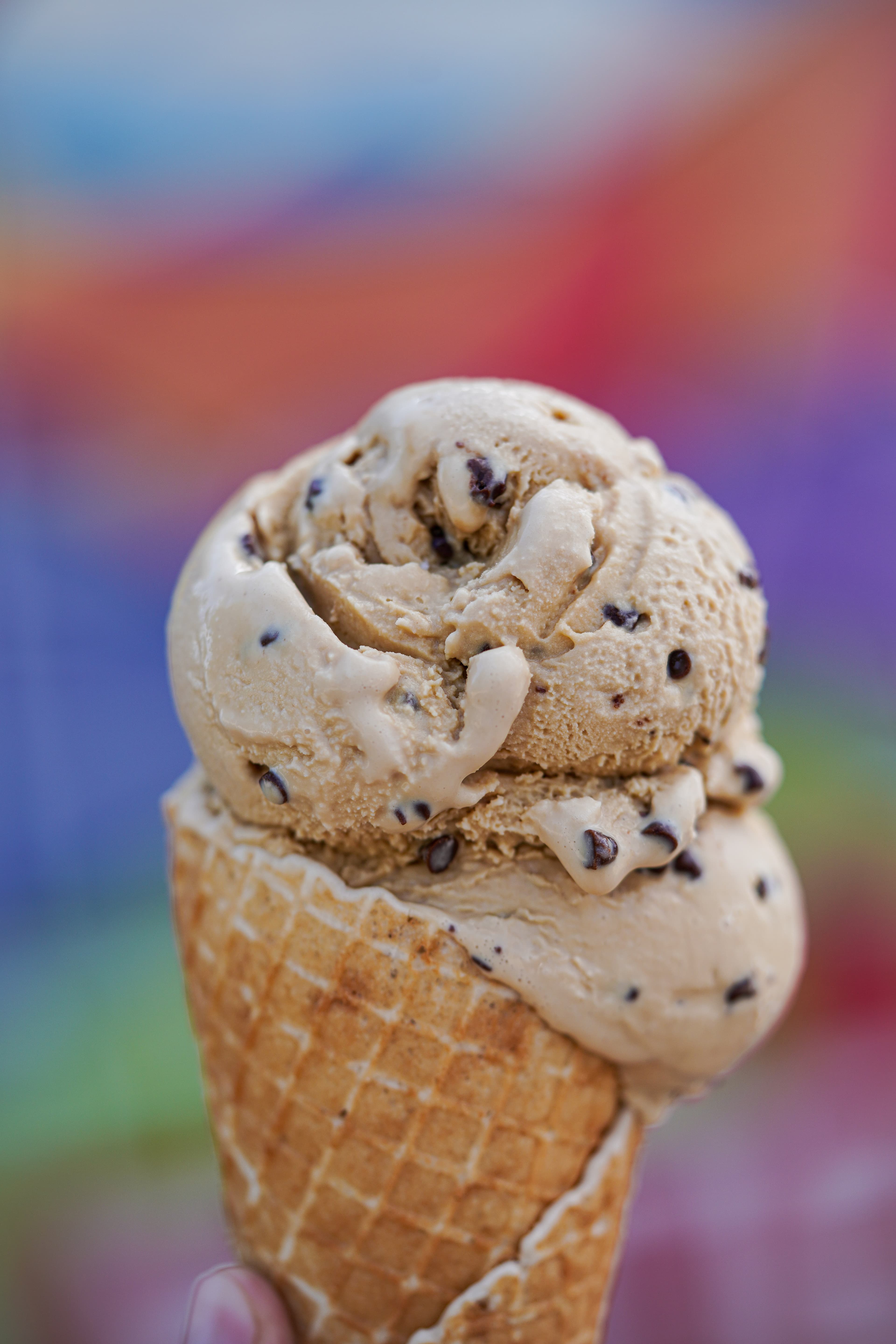 Scoops of handcrafted ice cream